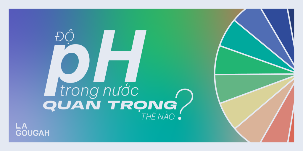 Chỉ số pH trong nước quan trọng ra sao